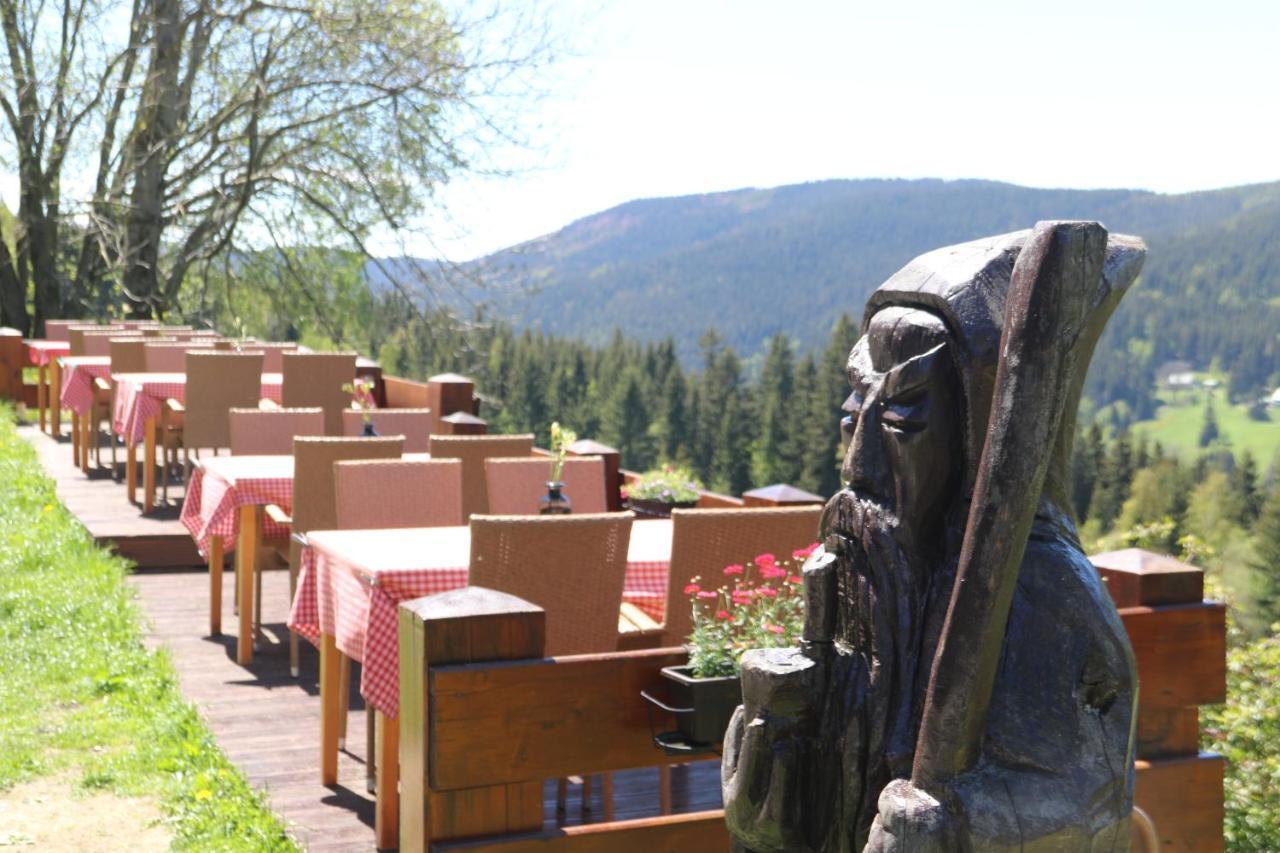 Hotel Hromovka スピンドレルフ・ムリン エクステリア 写真