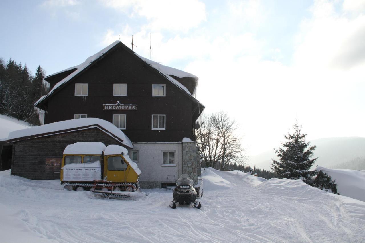 Hotel Hromovka スピンドレルフ・ムリン エクステリア 写真