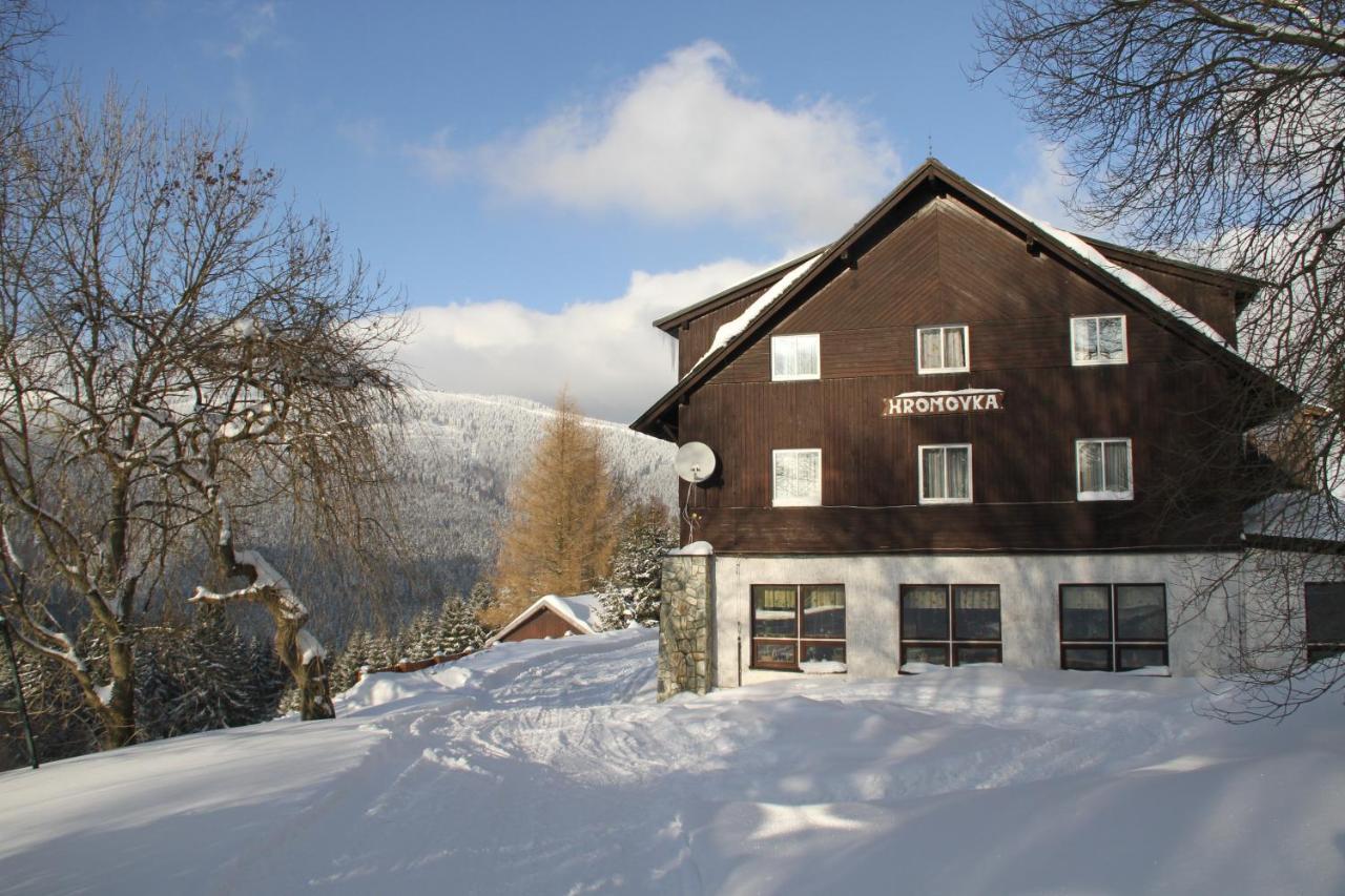 Hotel Hromovka スピンドレルフ・ムリン エクステリア 写真